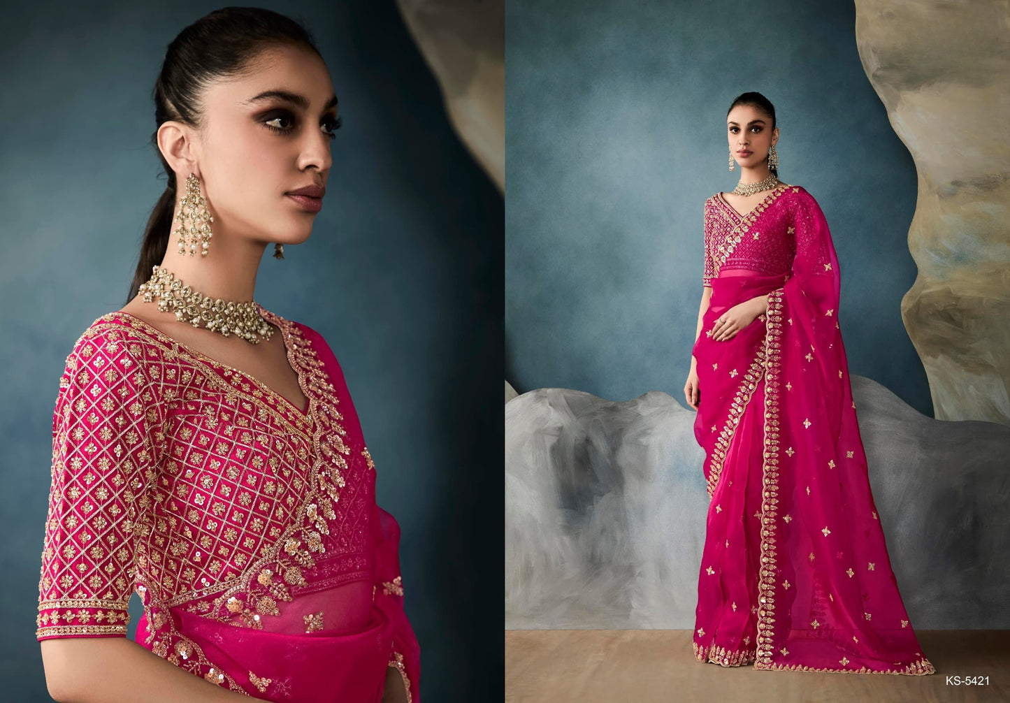 Fancy Party Wear Embroidery Saree