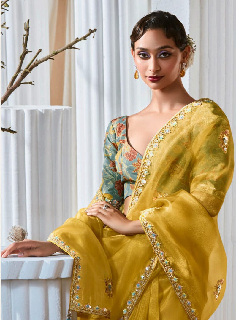 Lace Embroidered Georgette Fancy Saree