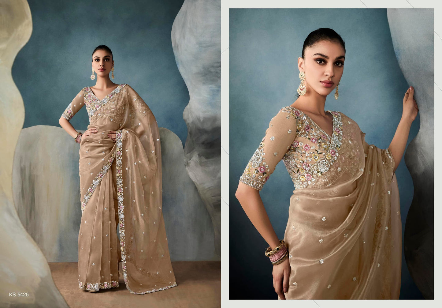 Fancy Party Wear Embroidery Saree