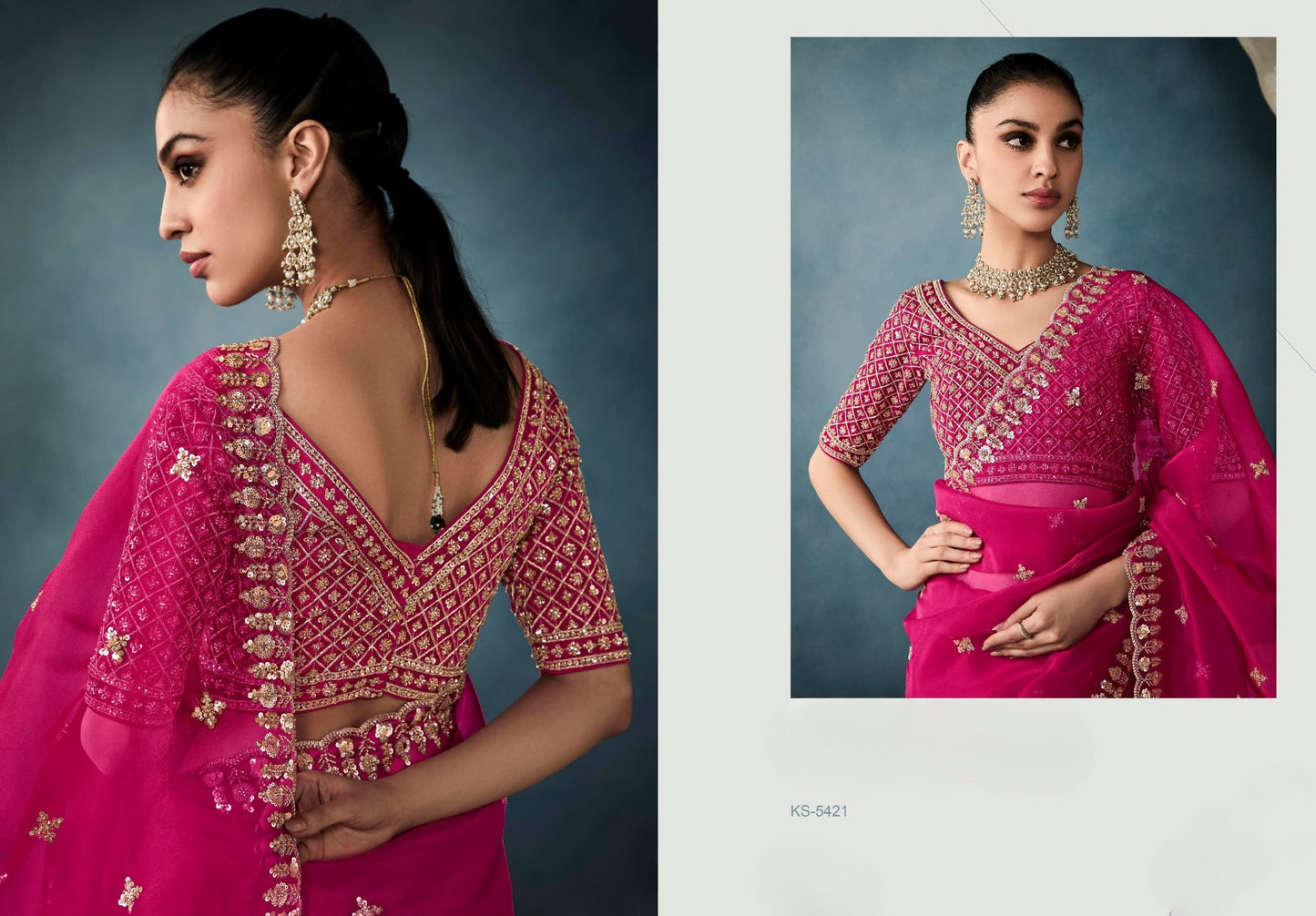 Fancy Party Wear Embroidery Saree