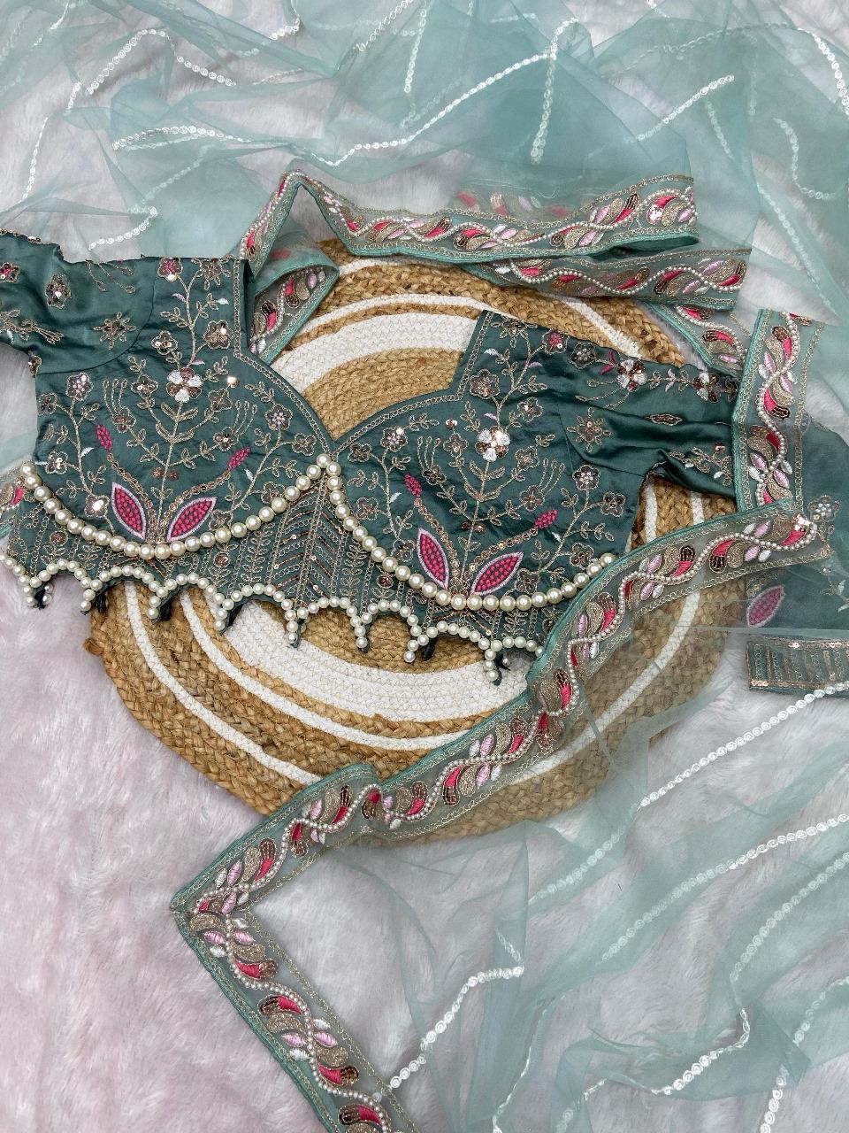 Sequence Dori Embroidery Net Embellished Heavy Diamond Work Lace Border Saree
