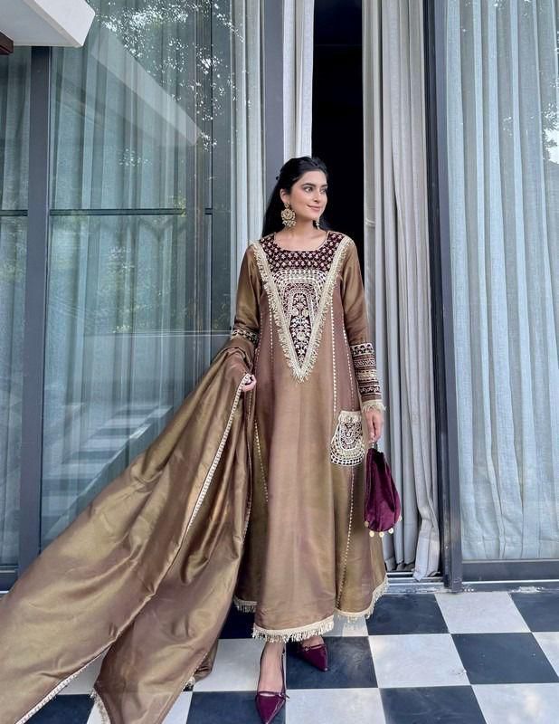 Bronze Embroidered Velvet Salwar Suit