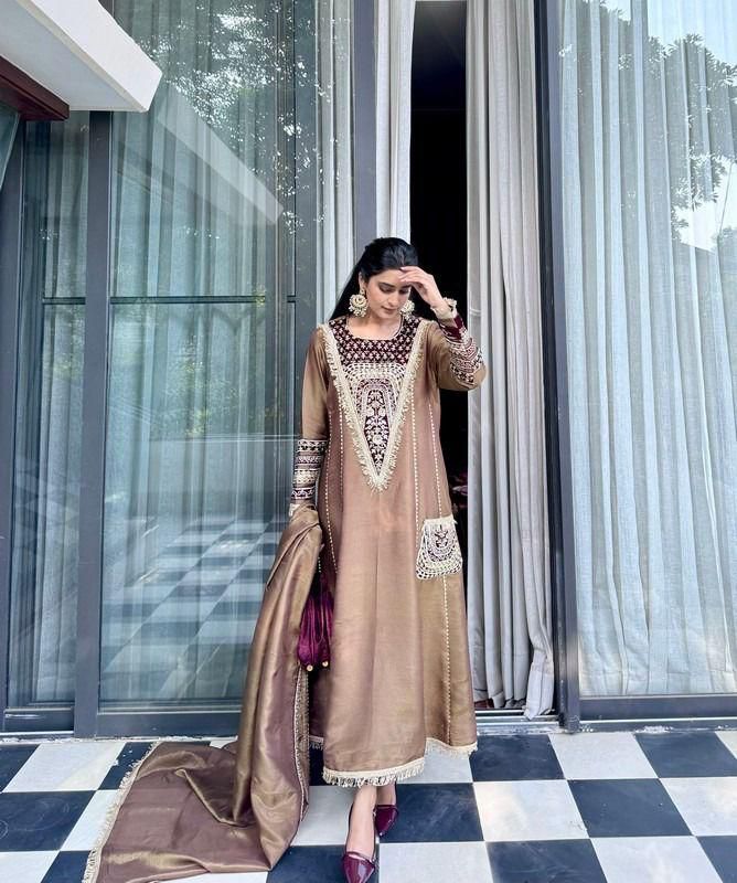 Bronze Embroidered Velvet Salwar Suit