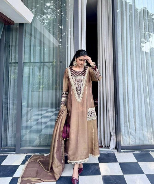 Bronze Embroidered Velvet Salwar Suit