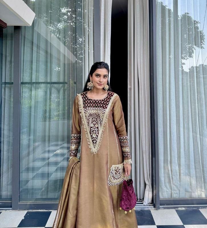 Bronze Embroidered Velvet Salwar Suit