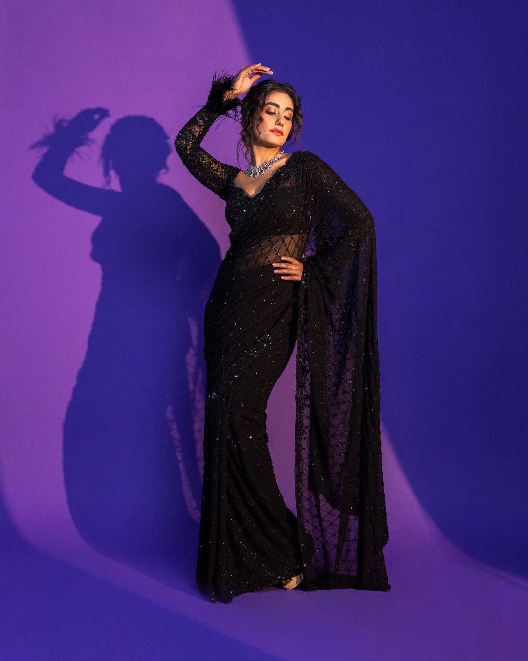 Women's Sequin Embroidered Soft Net Saree with C Pallu Work